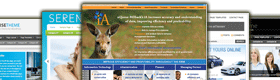 Web Development Service Phoenix